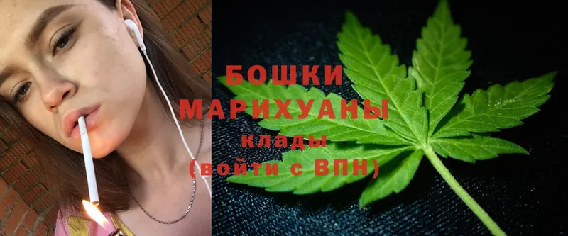 Бошки марихуана THC 21%  маркетплейс клад  Коломна  наркота 